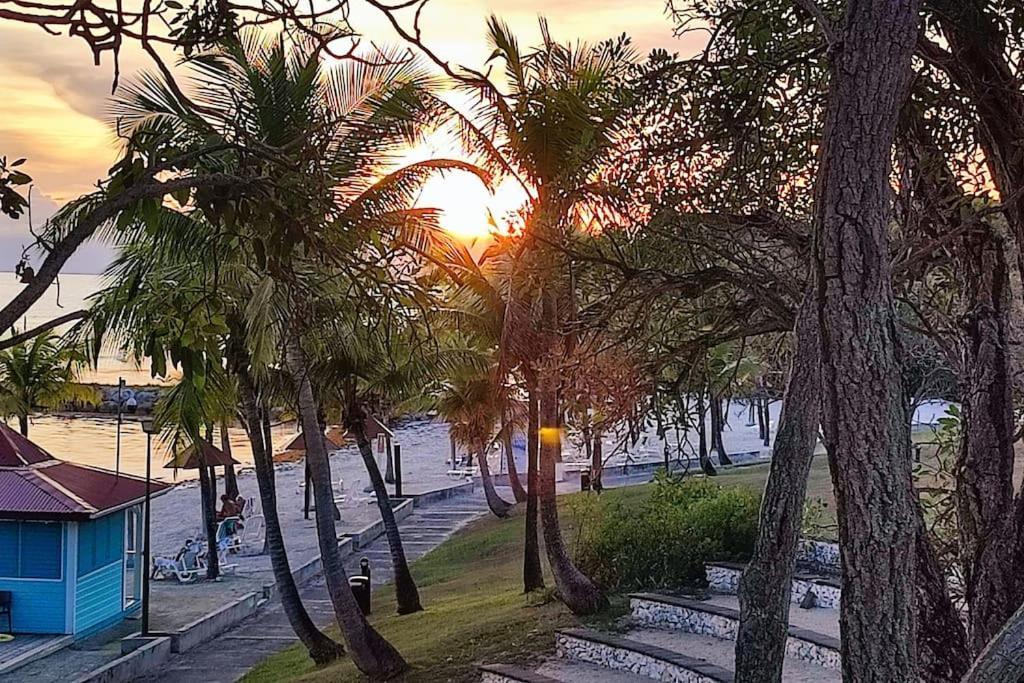 Studio Vue Mer Guadeloupe Sainte-Anne  Zewnętrze zdjęcie