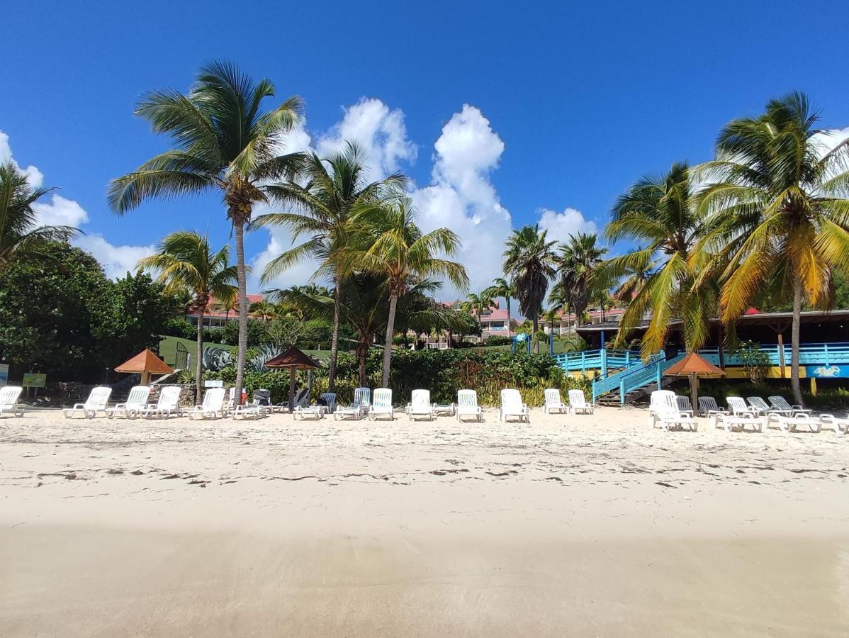 Studio Vue Mer Guadeloupe Sainte-Anne  Zewnętrze zdjęcie