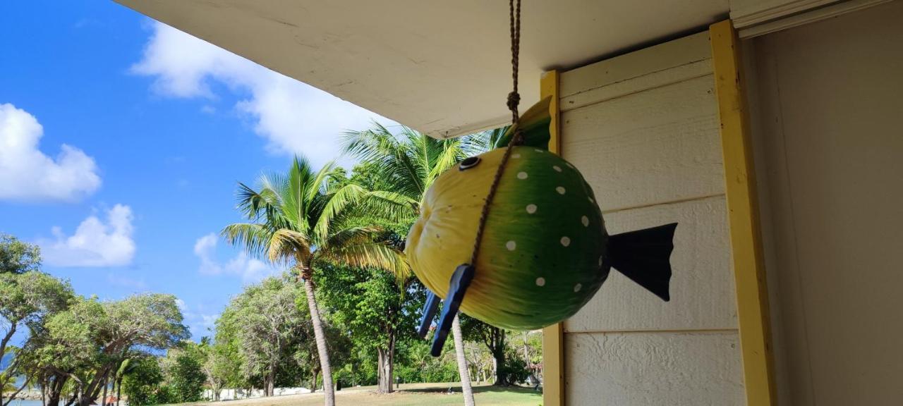 Studio Vue Mer Guadeloupe Sainte-Anne  Zewnętrze zdjęcie